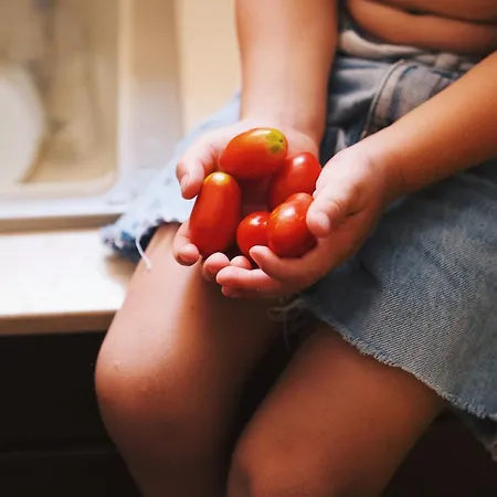 Cal Bate Guest house